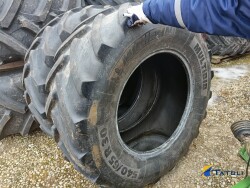 rehvid Michelin 540/65 R30 (2tk)